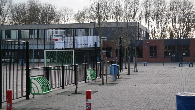 School 5